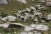 AiguesTortes2008_Blanc_Mallafre_212