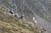 AiguesTortes2008_Blanc_Mallafre_296