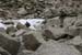 AiguesTortes2008_Blanc_Mallafre_335
