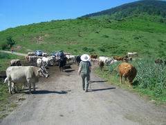 Camino de la Ermita de Santa Brbara